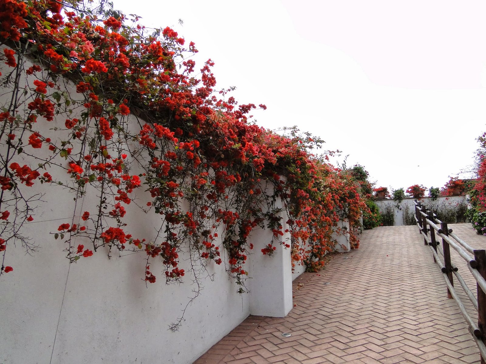 Museu Larco em Lima, Peru