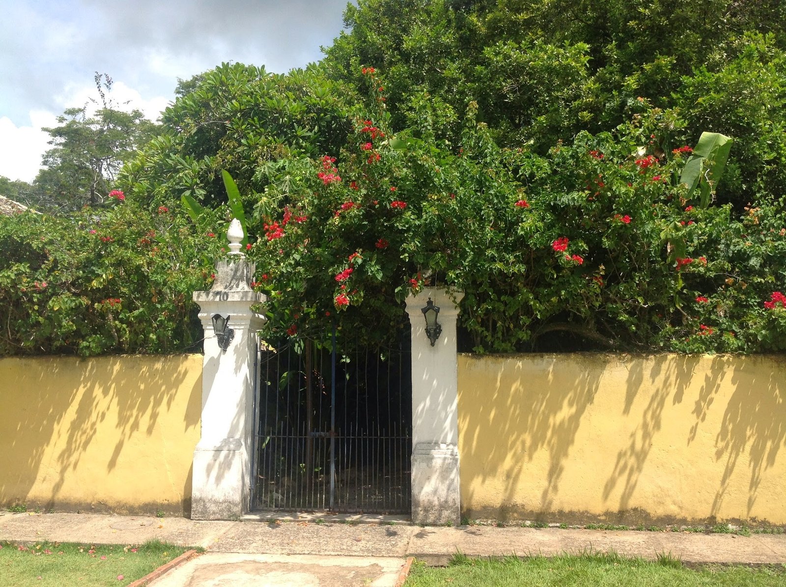 Porto Seguro : bate e volta Porto Seguro : bate e volta