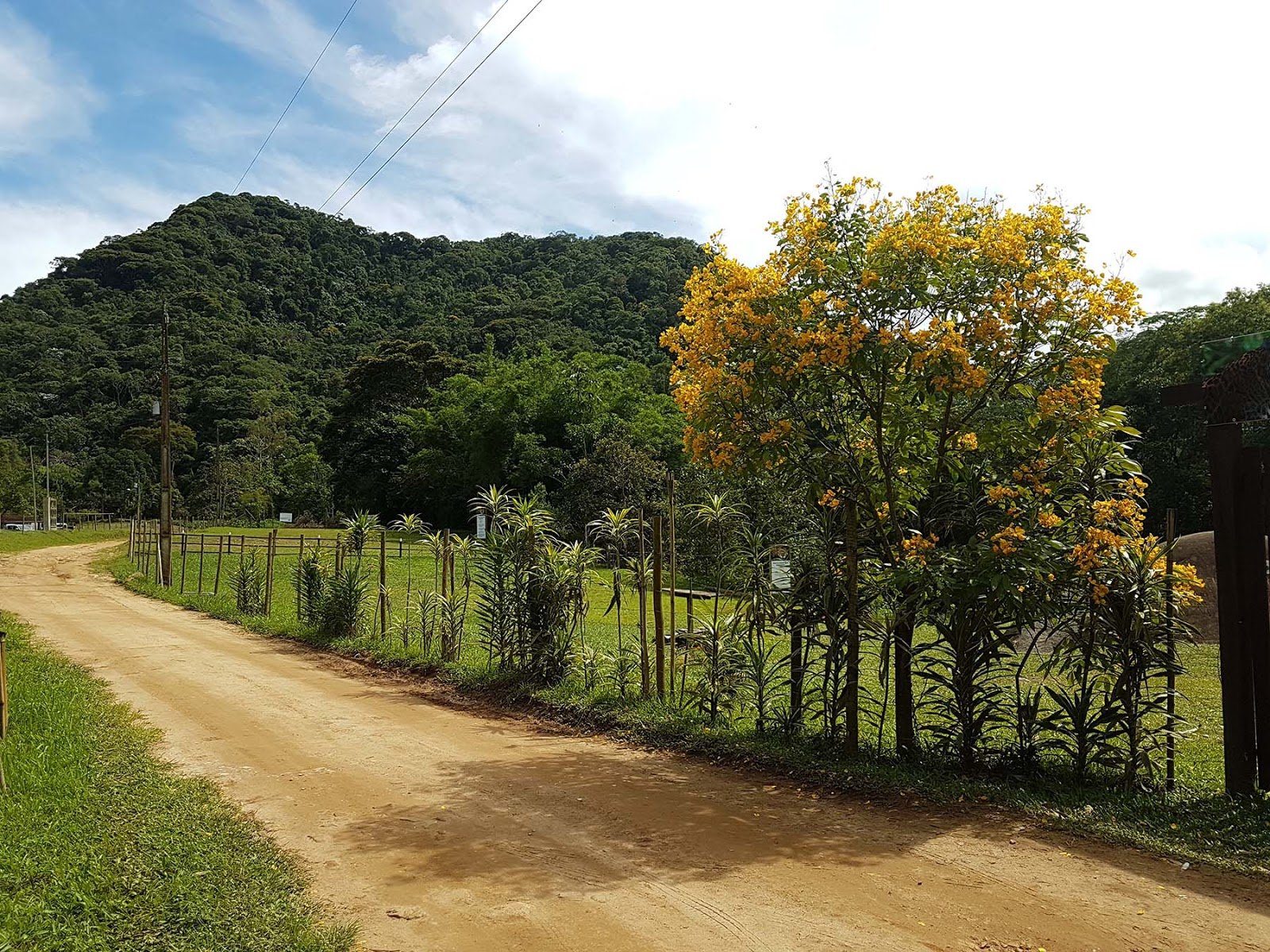 Toca da Onça, Lumiar, RJ Toca da Onça, Lumiar, RJ