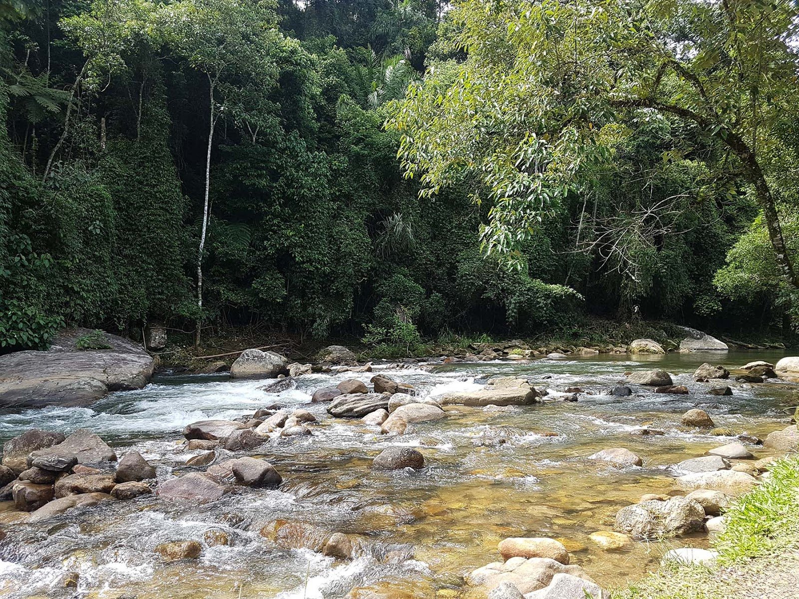 Toca da Onça, Lumiar, RJ. Toca da Onça, Lumiar, RJ.