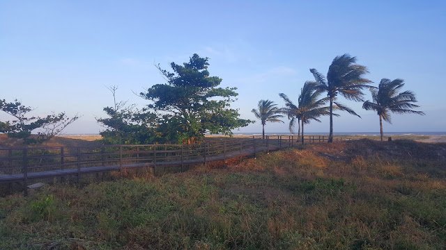 praia em orla de atalaia