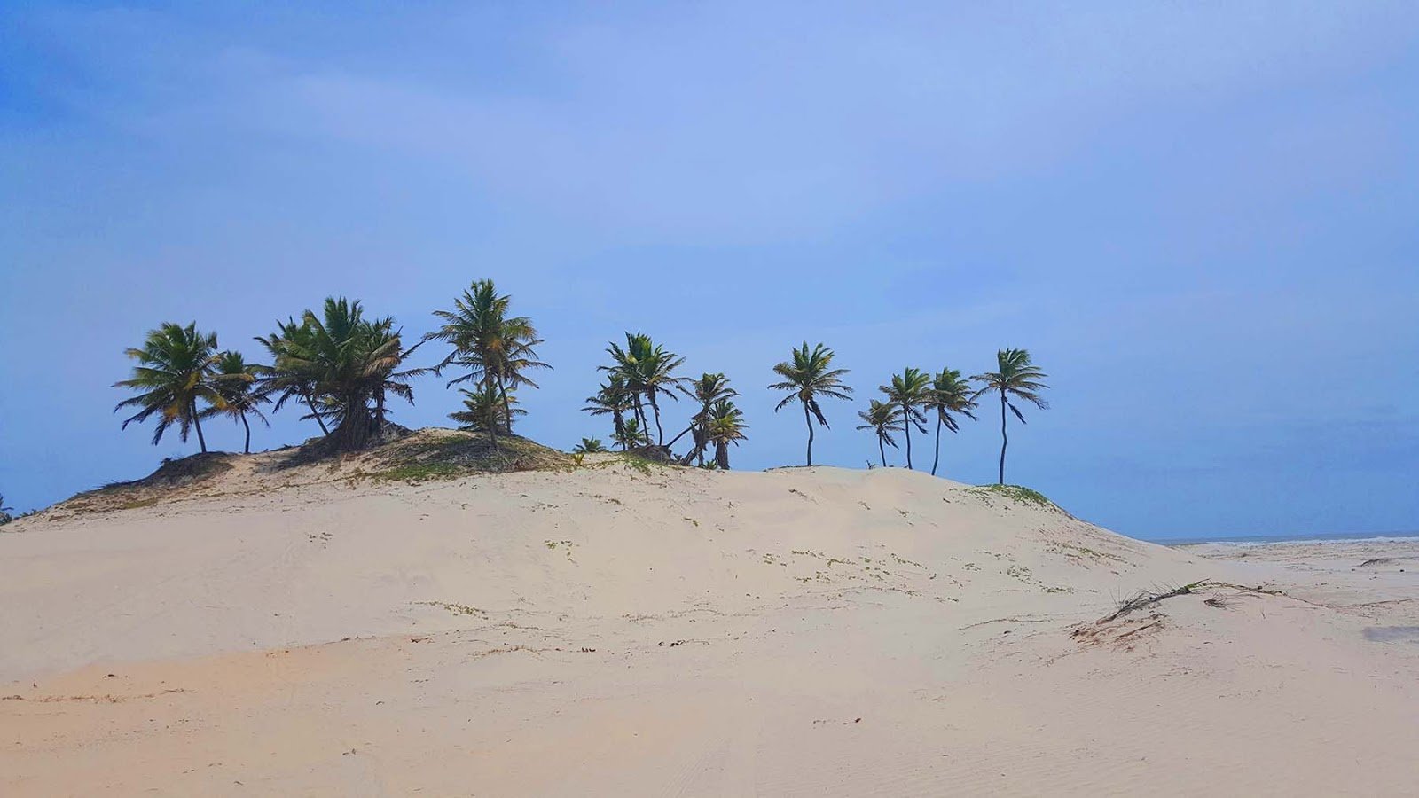 Mangue Seco, Bate e Volta de Aracaju. Mangue Seco, Bate e Volta de Aracaju.
