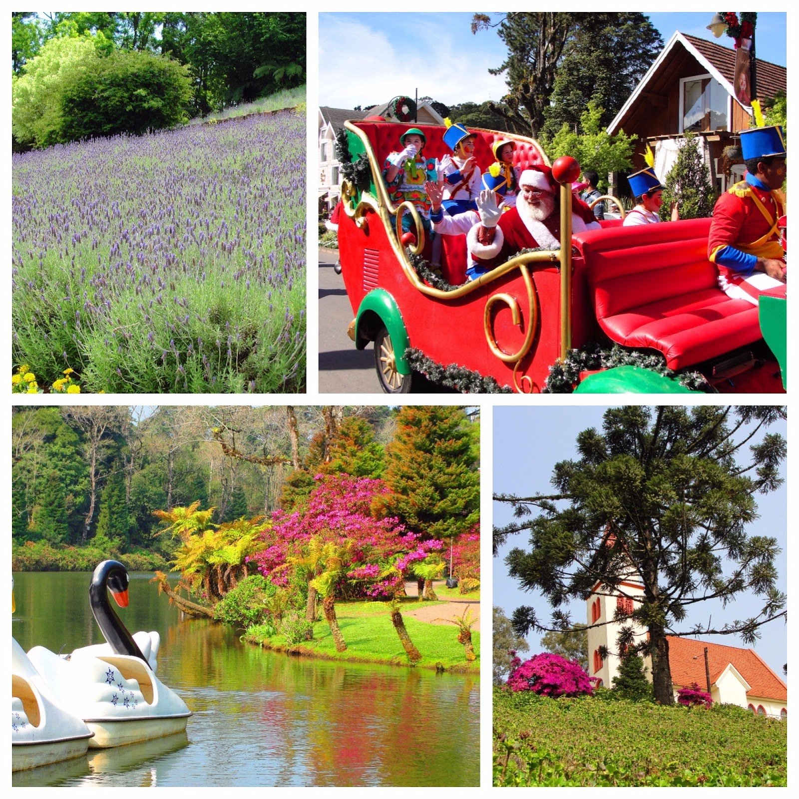 Gramado Gramado