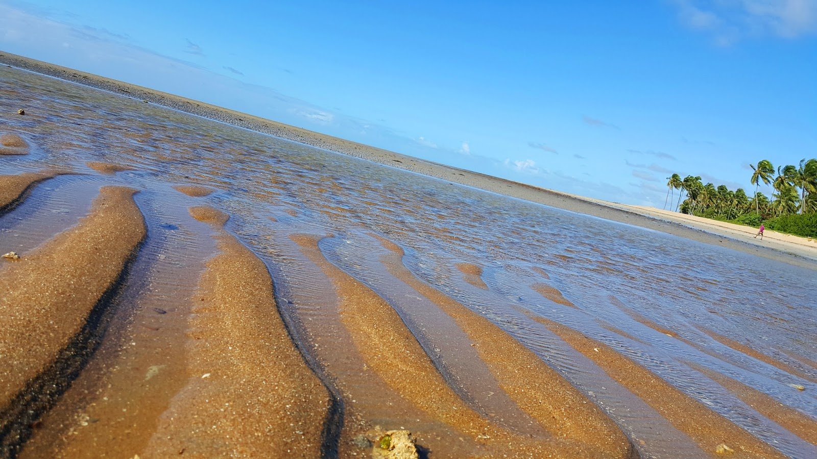 Praia de Bitingui em Japaratinga, Costa dos Corais. Praia de Bitingui em Japaratinga, Costa dos Corais.