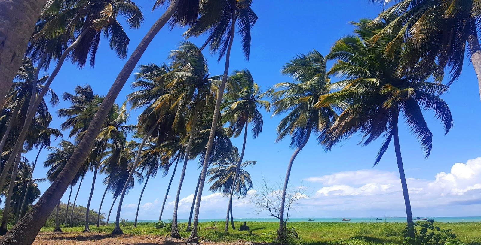 Praia de Japaratinga em Alagoas Pousada Vila Cobé, Praia de Japaratinga, Costa dos Corais.