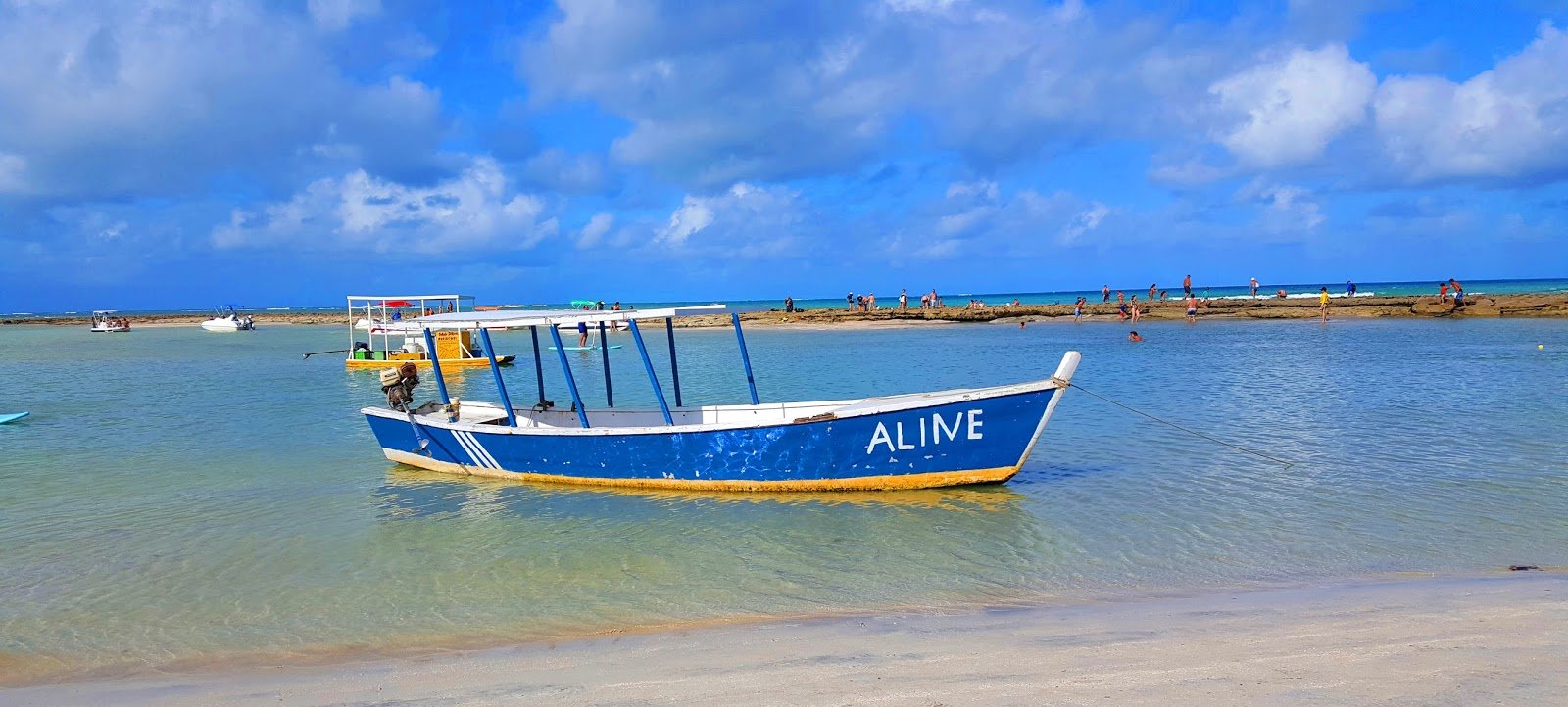 Praia dos Carneiros em Tamandaré,Pernambuco Praia dos Carneiros em Tamandaré, Pernambuco, Costa dos Corais
