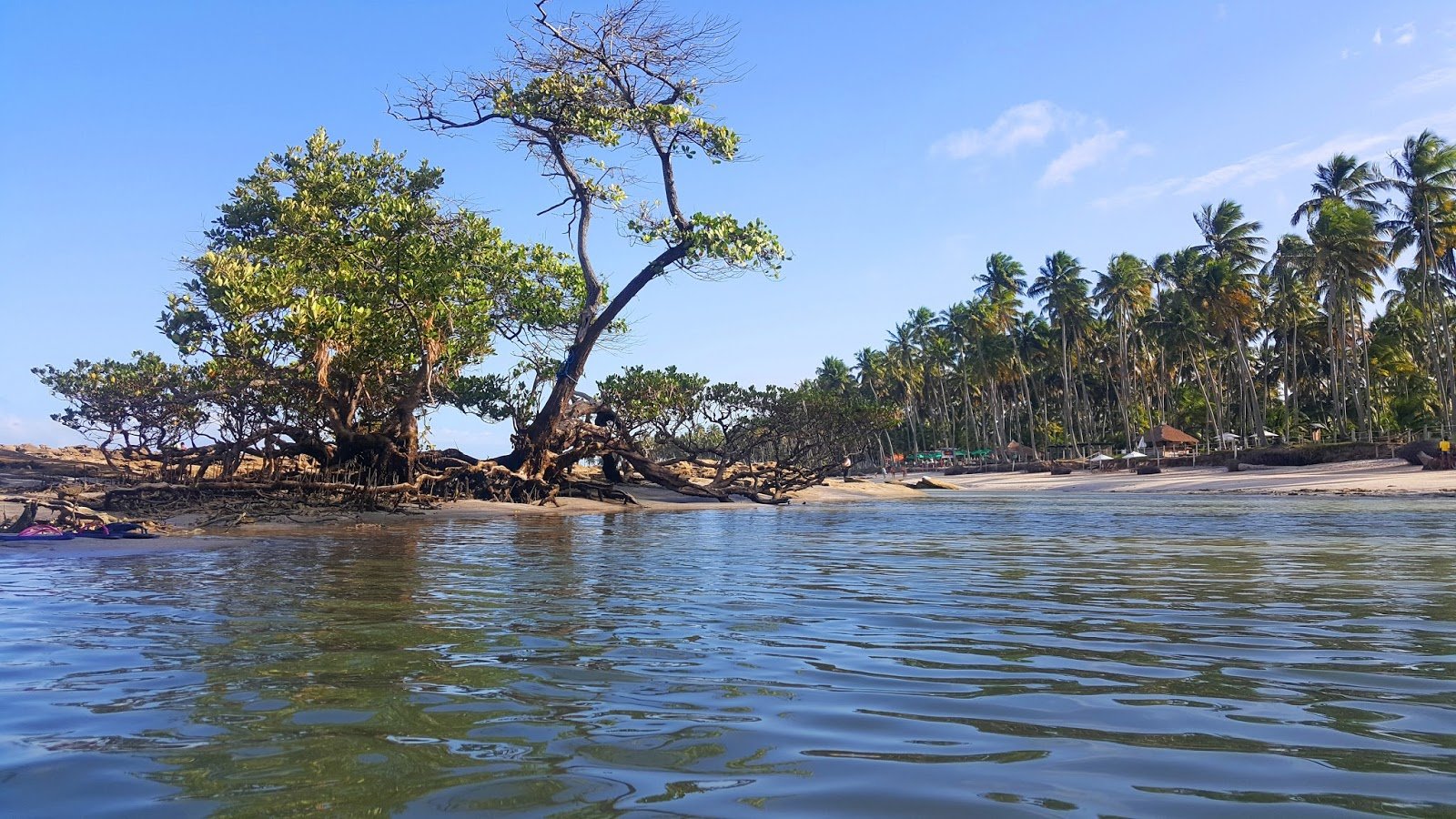 Costa dos Corais : Praia de Carneiros e Praia de Bitingui. Praia de Carneiros em Tamandaré, Pernambuco