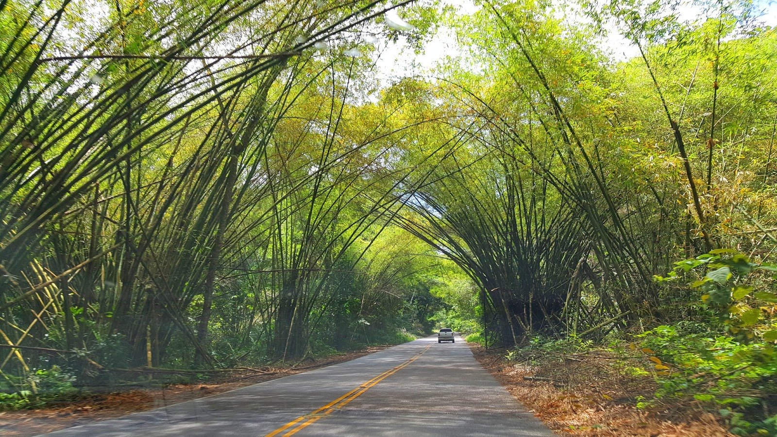 Reserva do Saltinho em Tamandaré, Pernambuco Costa dos Corais : Praia dos Carneiros e Praia de Bitingui.