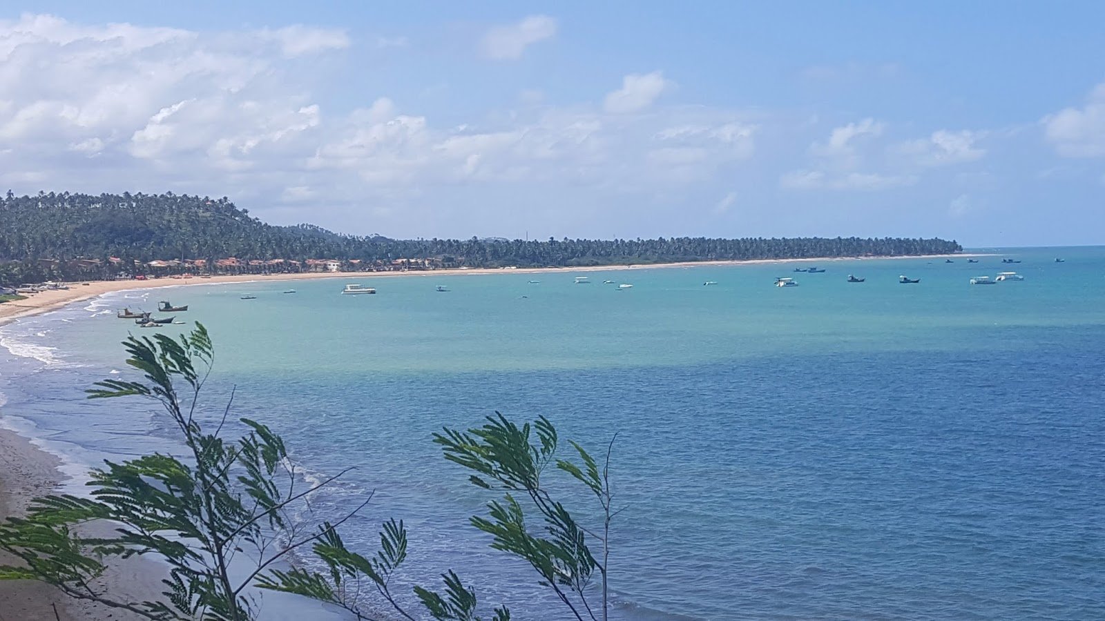 Mirante Aruanã em Japaratinga, Costa dos Corais Mirante Aruanã em Japaratinga, Costa dos Corais.