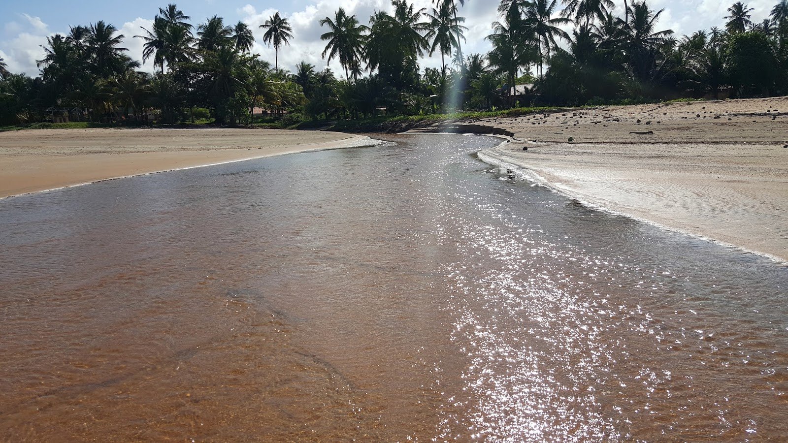 Costa dos Corais : Praia dos Carneiros e Praia de Bitingui. Rio desaguando na Praia de Japaratinga em Alagoas