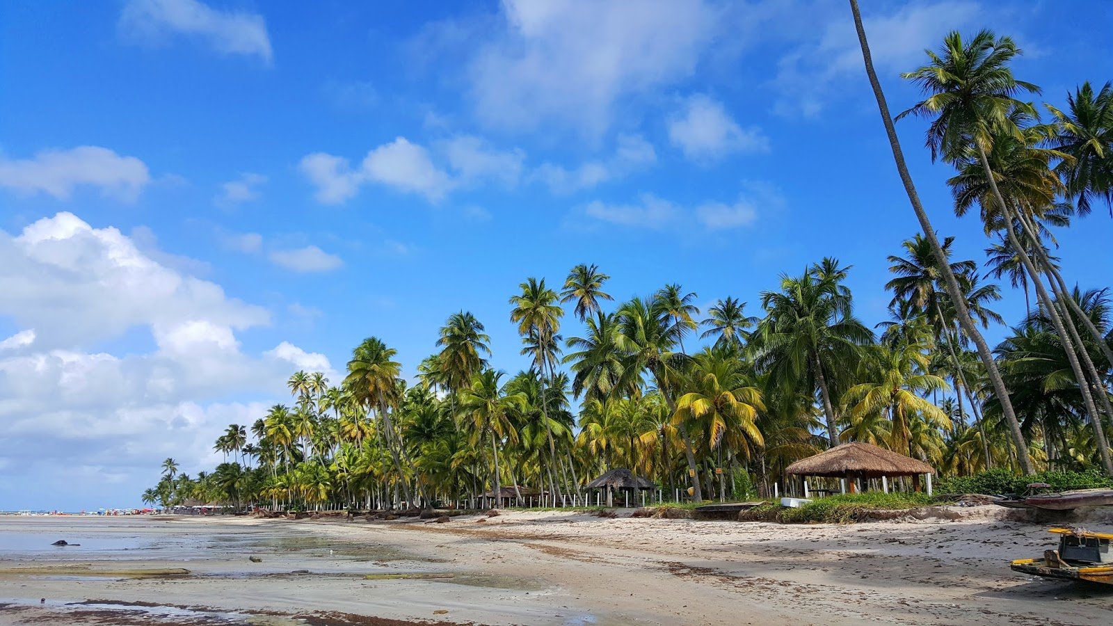 Caminhada pela Praia dos Carneiros Pousada Praia dos Carneiros, Tamandaré, Pernambuco.