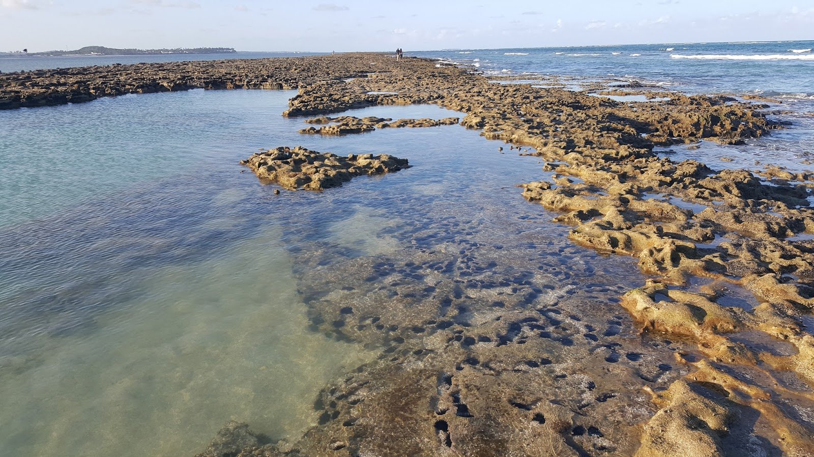 Piscinas naturais da Praia dos Carneiros Pousada Praia dos Carneiros, Tamandaré, Pernambuco.