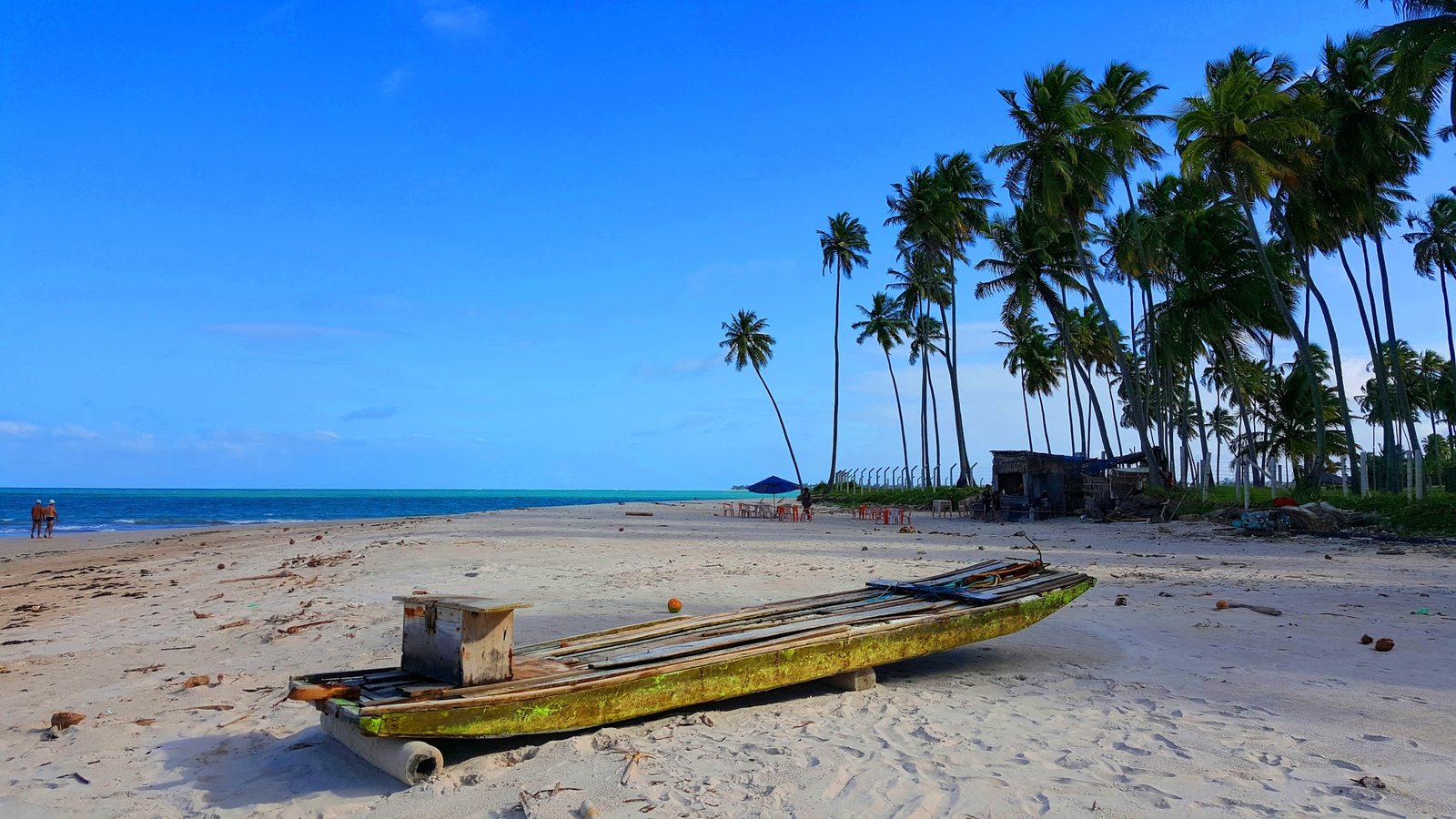 Praia dos Carneiros em Tamandaré, Pernambuco Praia dos Carneiros,Pernambuco,Brasil