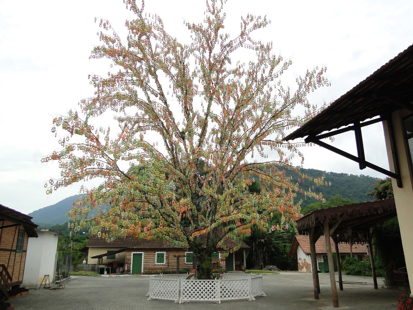 Osterbaum, Árvore de Páscoa, em Pomerode Osterbaum, Árvore de Páscoa, em Pomerode