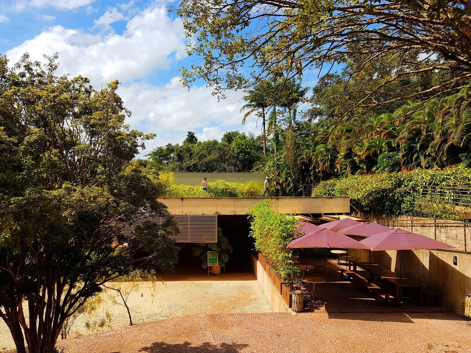 Café do Teatro em Inhotim, Minas Gerais