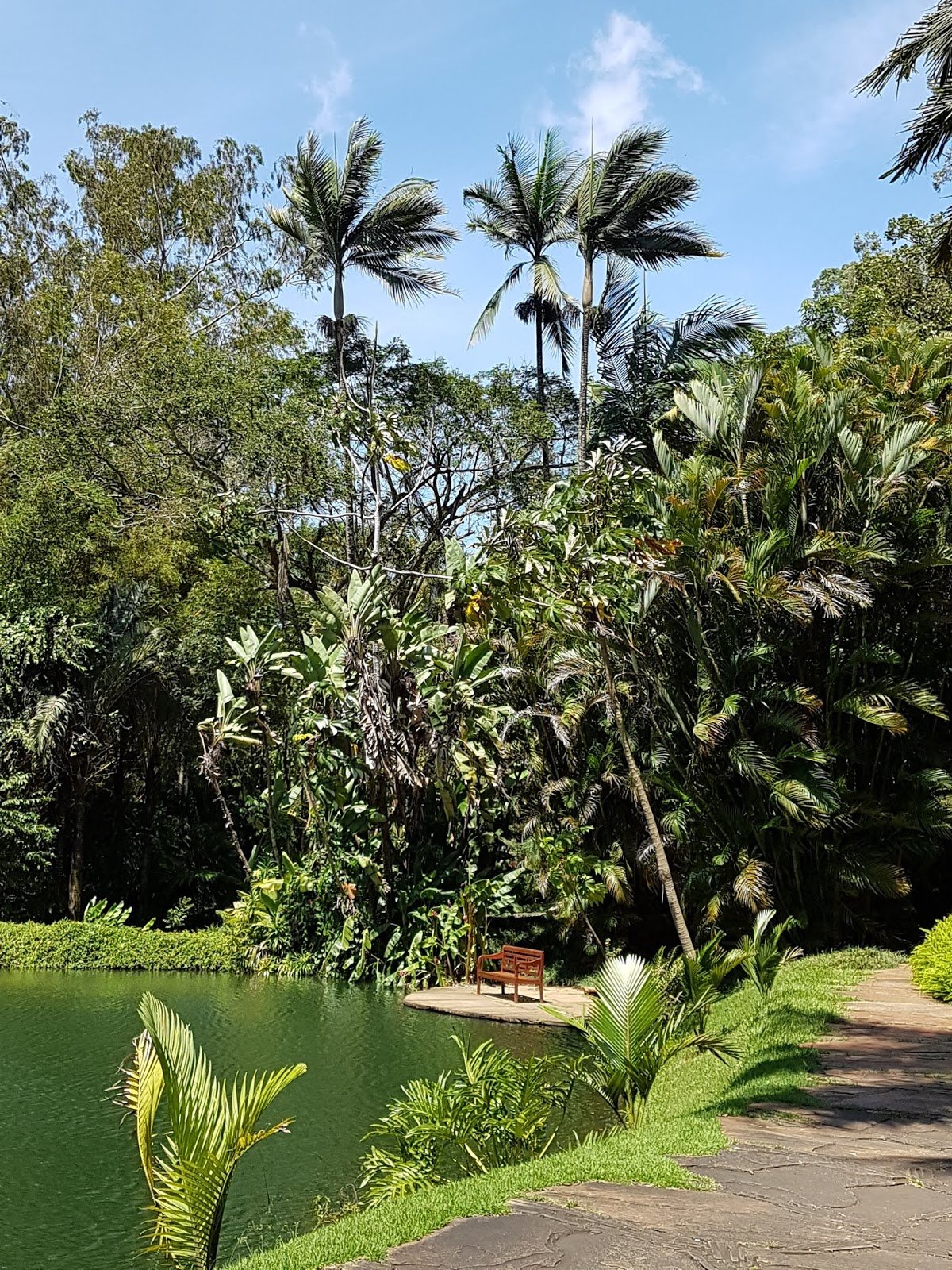 Inhotim em Brumadinho,Minas Gerais