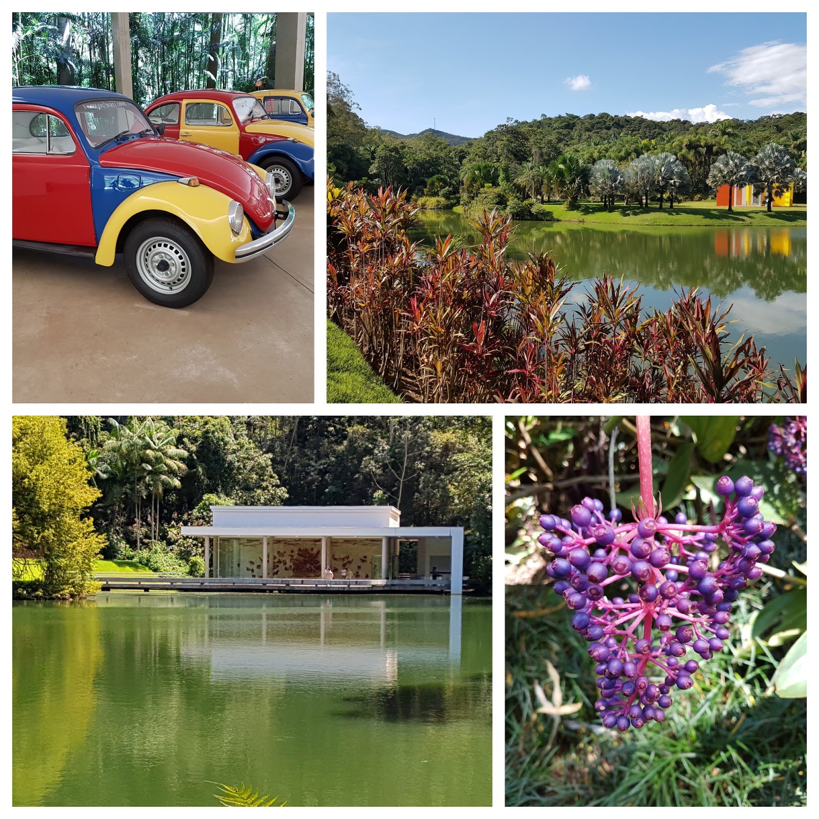 Inhotim em Minas Gerais