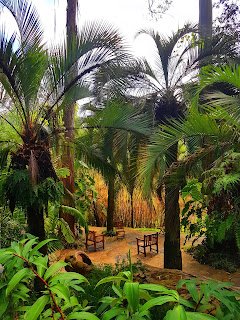 Inhotim em Brumadinho, Minas Gerais