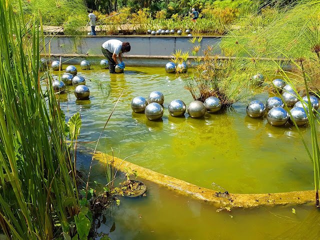 Narcissus Garden de Yayoi Kusama em Inhotim