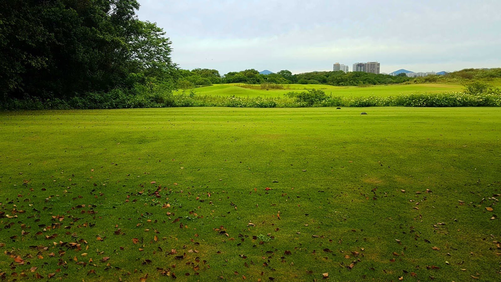 Campo Olímpico de Gofe no Rio de Janeiro