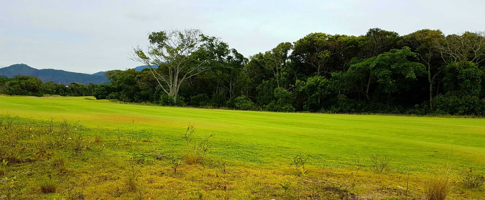 Tour Ecológico no Campo Olímpico de Golfe
