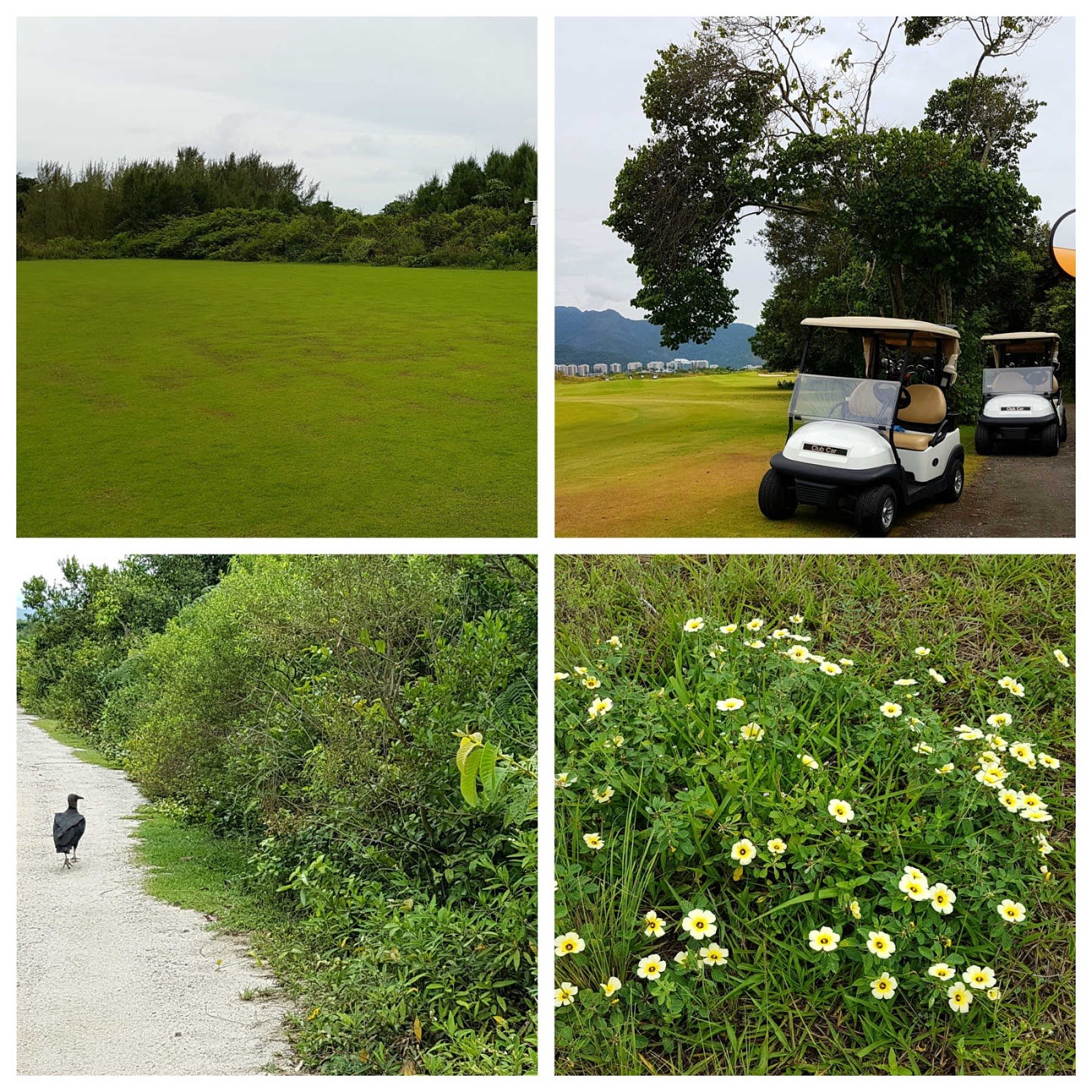 Tuk tuk no Tour Ecológico no Campo Olímpico de Golfe RJ