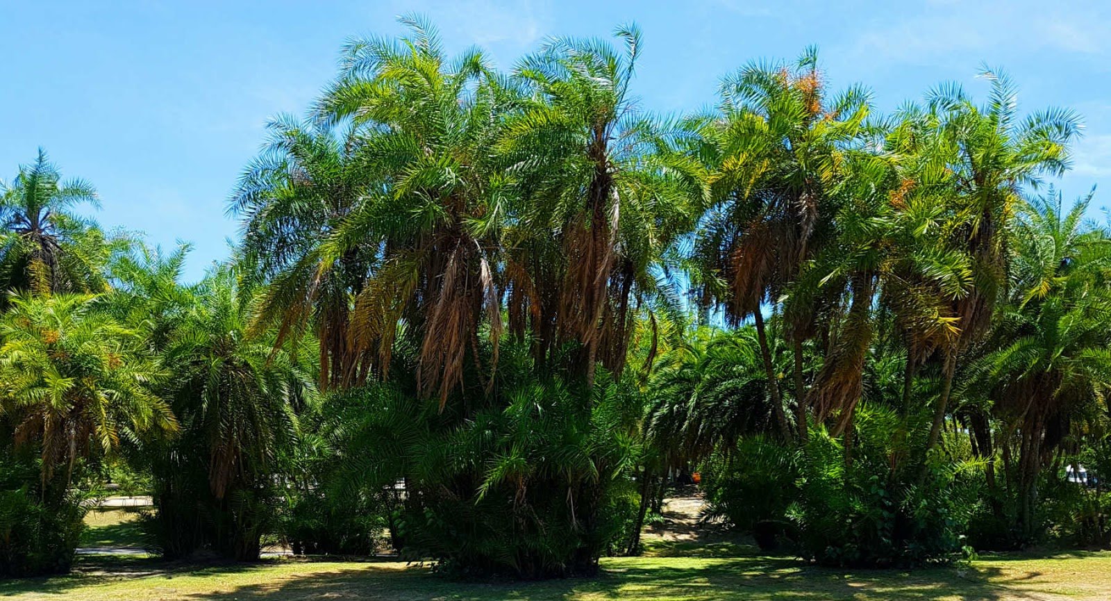 Parque do Flamengo, Rio de Janeiro,Tour Hop-On Hop-Off