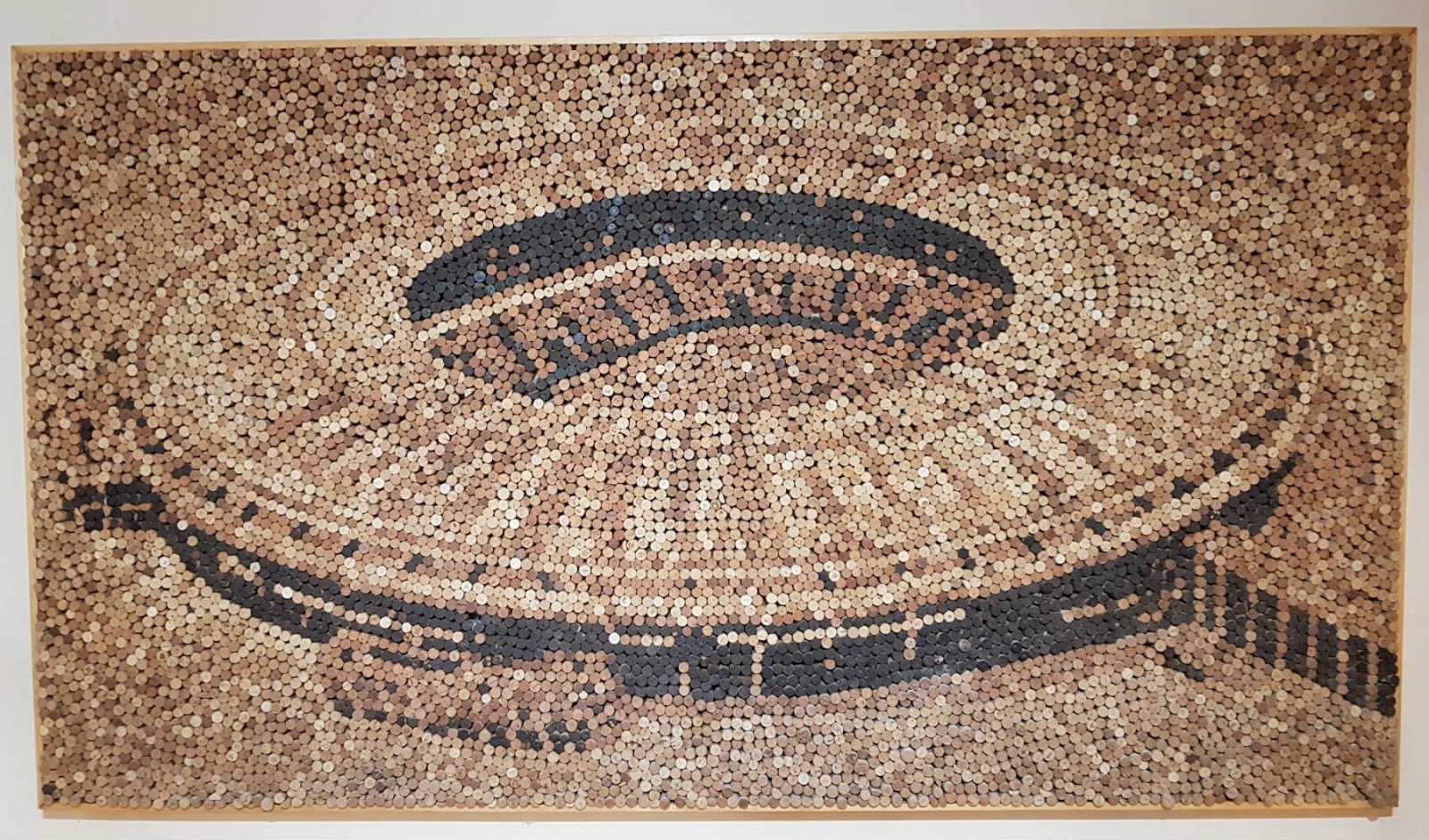 Tour Maracanã, conhecendo o estádio no Rio de Janeiro.