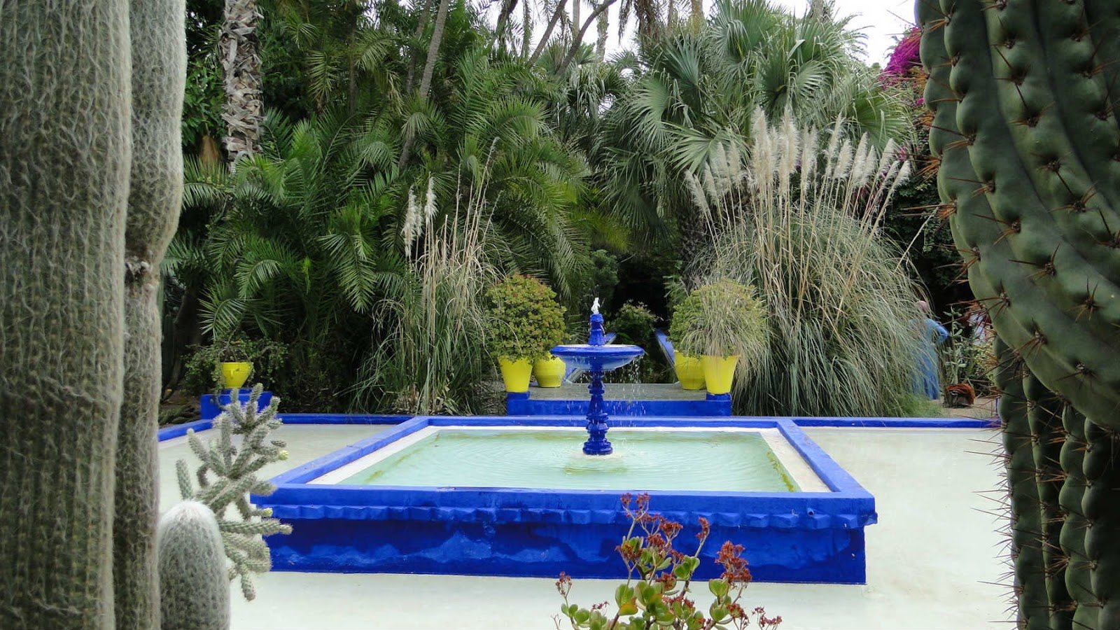 Roteiro de 11 dias no Marrocos. Jardim Majorelle, Marrakech, Marrocos.