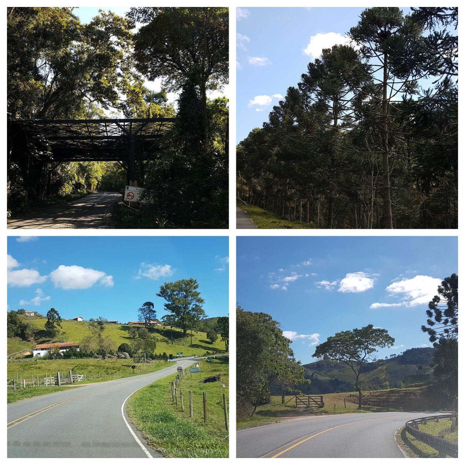 O que fazer em Cunha, SP: bate e volta de Paraty. O que fazer em Cunha, SP: bate e volta de Paraty.