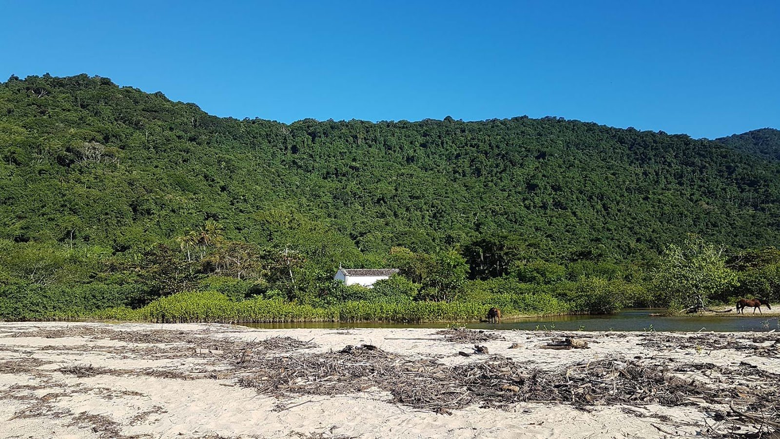 Rio Paraty-Mirim. Rio Paraty-Mirim.