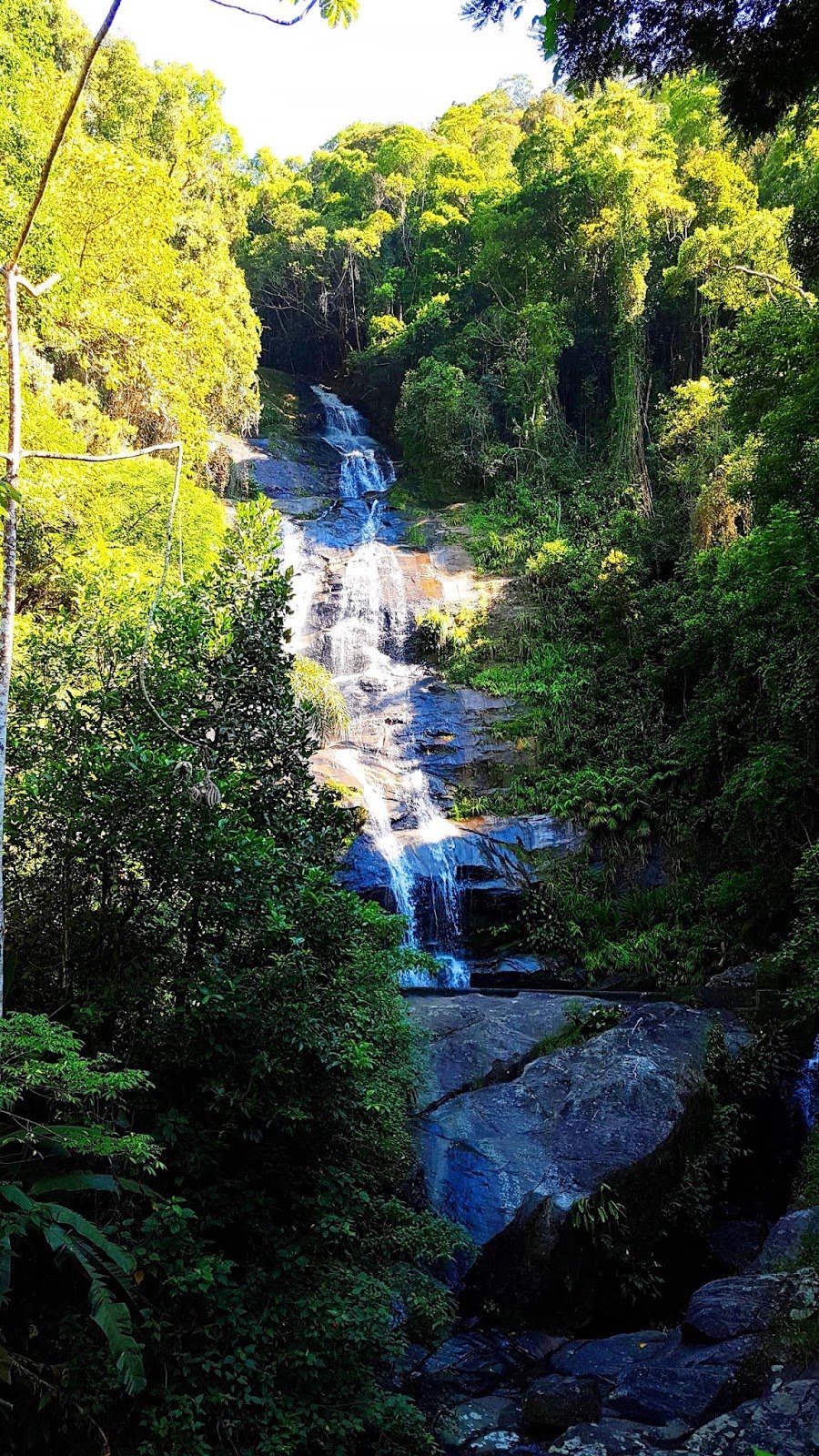 Floresta da Tijuca no Rio de Janeiro : dicas do que fazer. Floresta da Tijuca no Rio de Janeiro : dicas do que fazer.