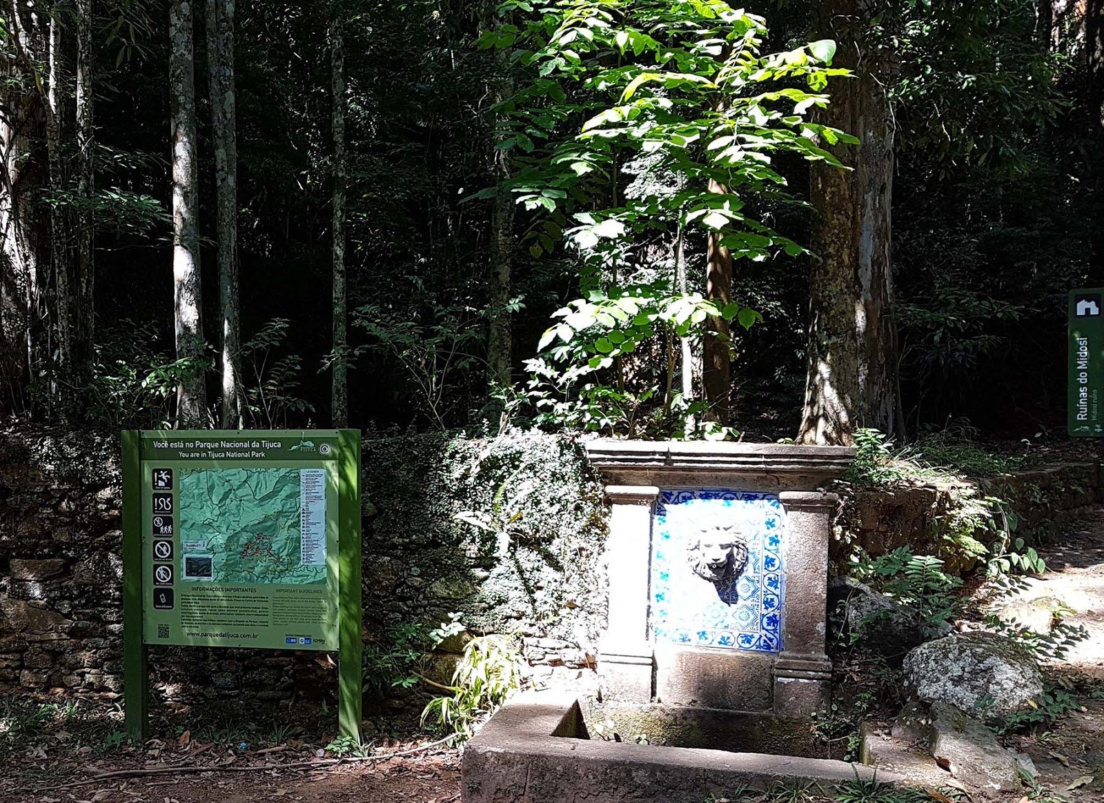 Fonte Midosi na Floresta da Tijuca. Fonte Midosi na Floresta da Tijuca.