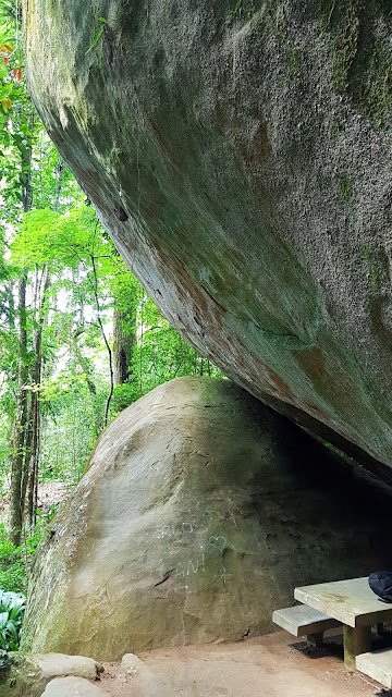 Floresta da Tijuca no Rio de Janeiro : dicas do que fazer. Floresta da Tijuca no Rio de Janeiro : dicas do que fazer.