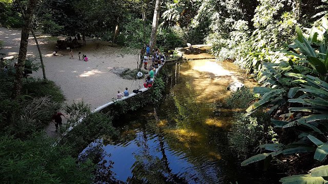 Floresta da Tijuca no Rio de Janeiro : dicas do que fazer. Floresta da Tijuca no Rio de Janeiro : dicas do que fazer.