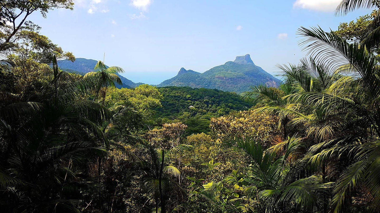 Vista do Almirante na Floresta da Tijuca. Vista do Almirante na Floresta da Tijuca.