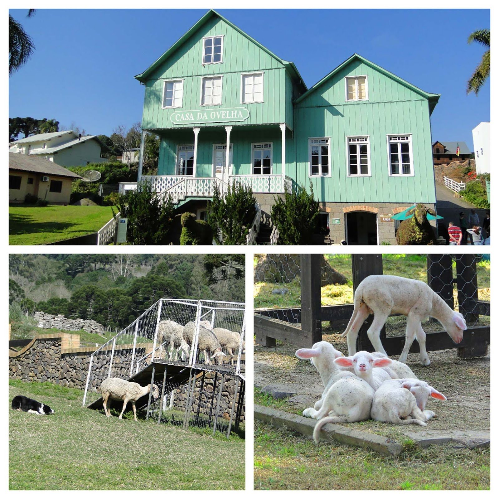 Casa da Ovelha, Caminhos de Pedra Casa da Ovelha, Caminhos de Pedra