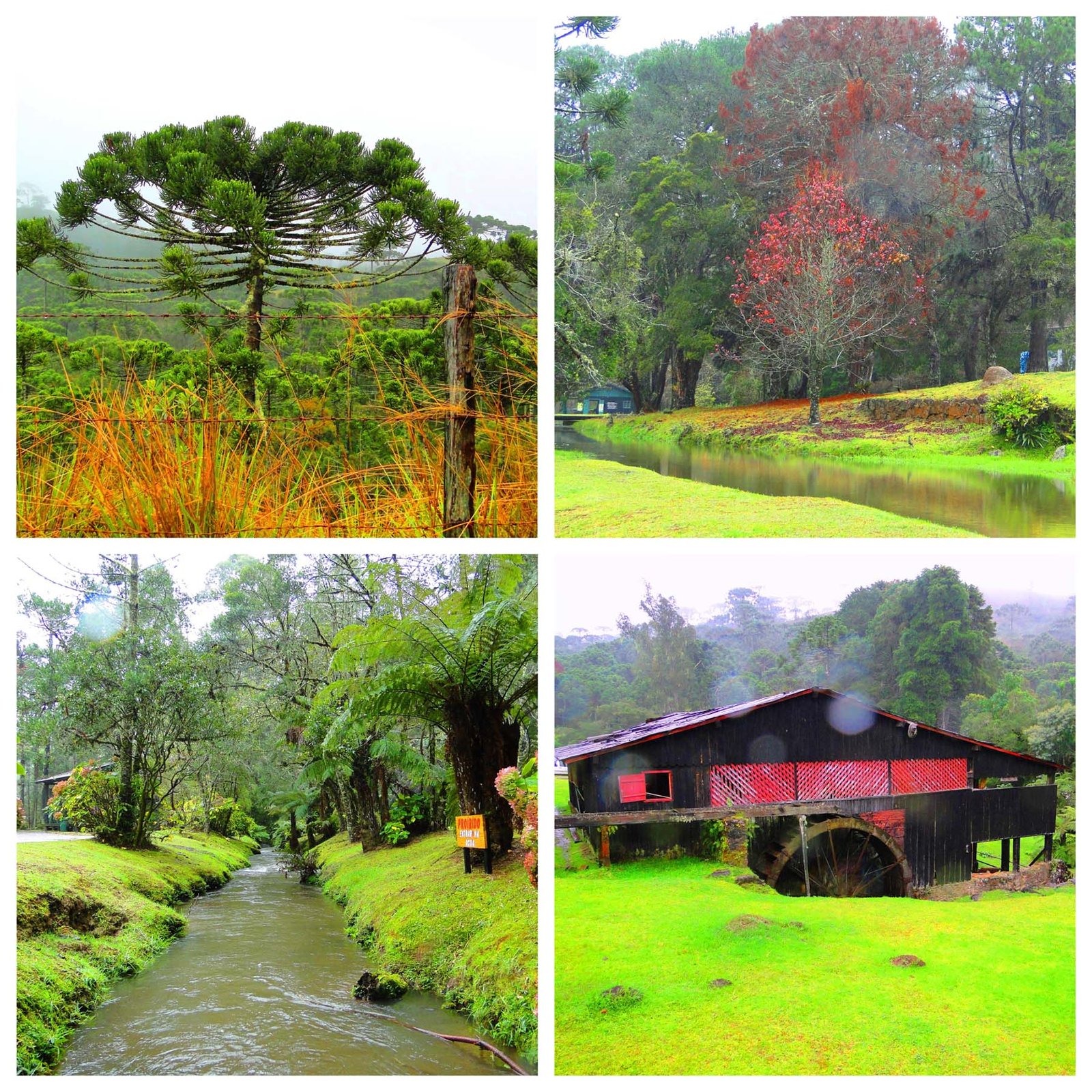O que fazer em Campos do Jordão fora de temporada O que fazer em Campos do Jordão fora de temporada