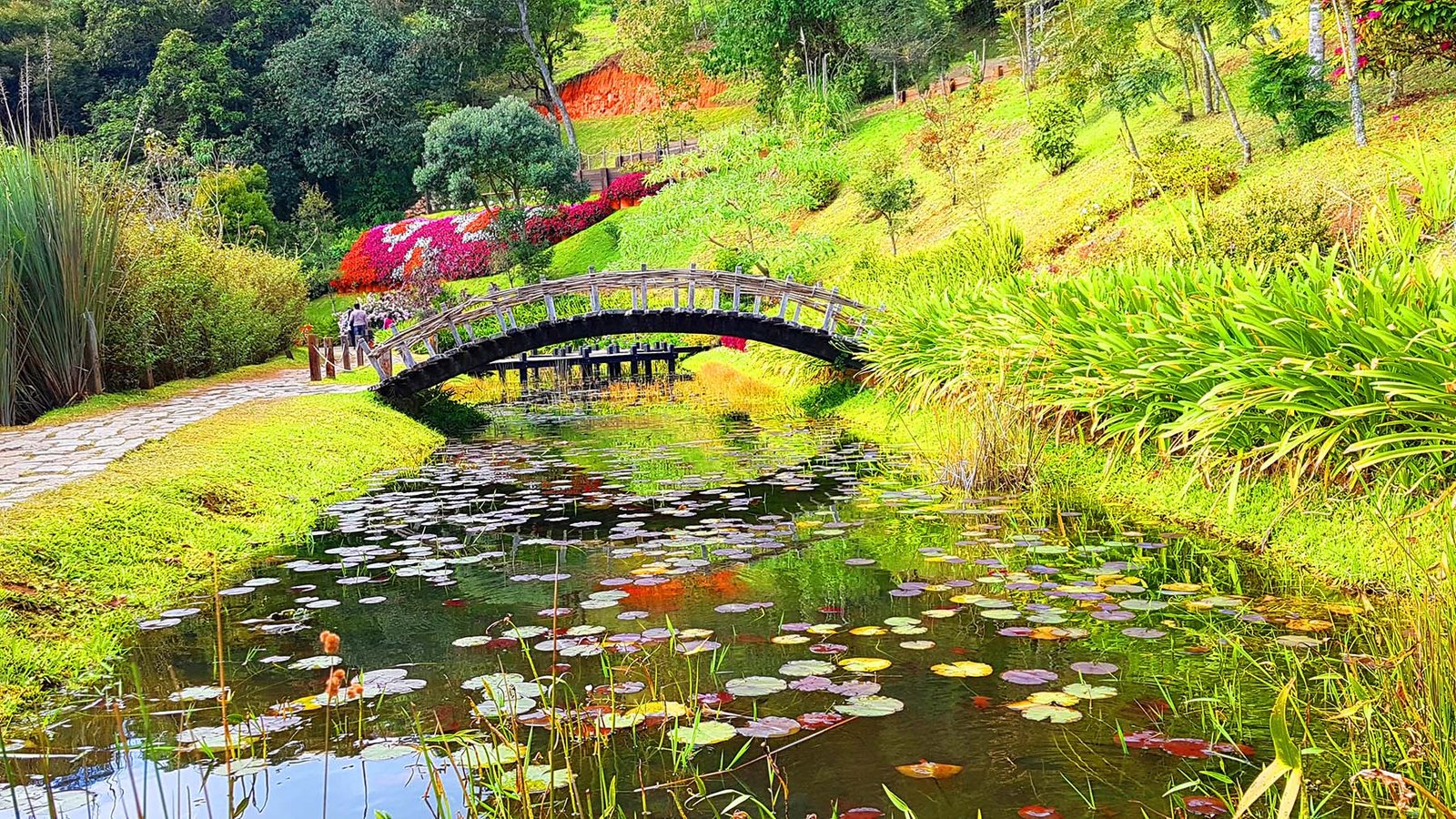 Lago das Pontes, Parque Amantikir, Campos do Jordão. Lago das Pontes, Parque Amantikir, Campos do Jordão.