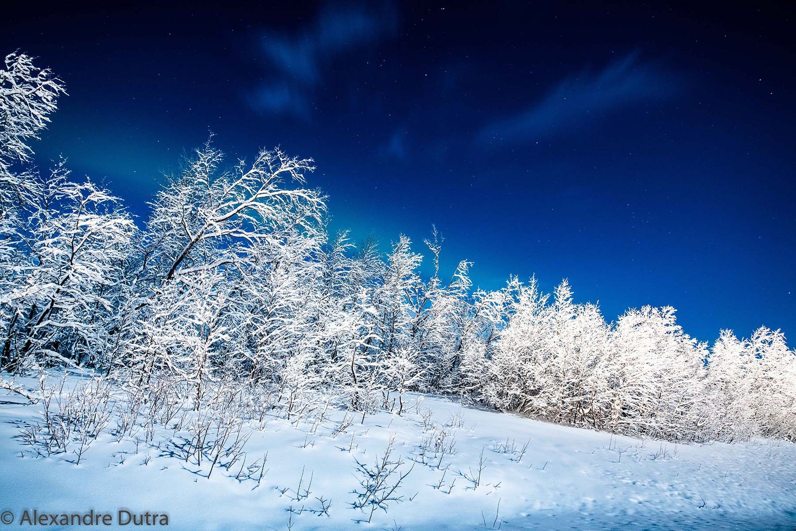 Como ver a Aurora Boreal na Lapônia Como ver a Aurora Boreal na Lapônia