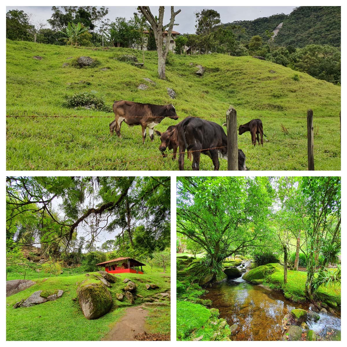 Sítio Cachoeiras do Alcantilado, Visconde de Mauá, RJ. Sítio Cachoeiras do Alcantilado, Visconde de Mauá, RJ.