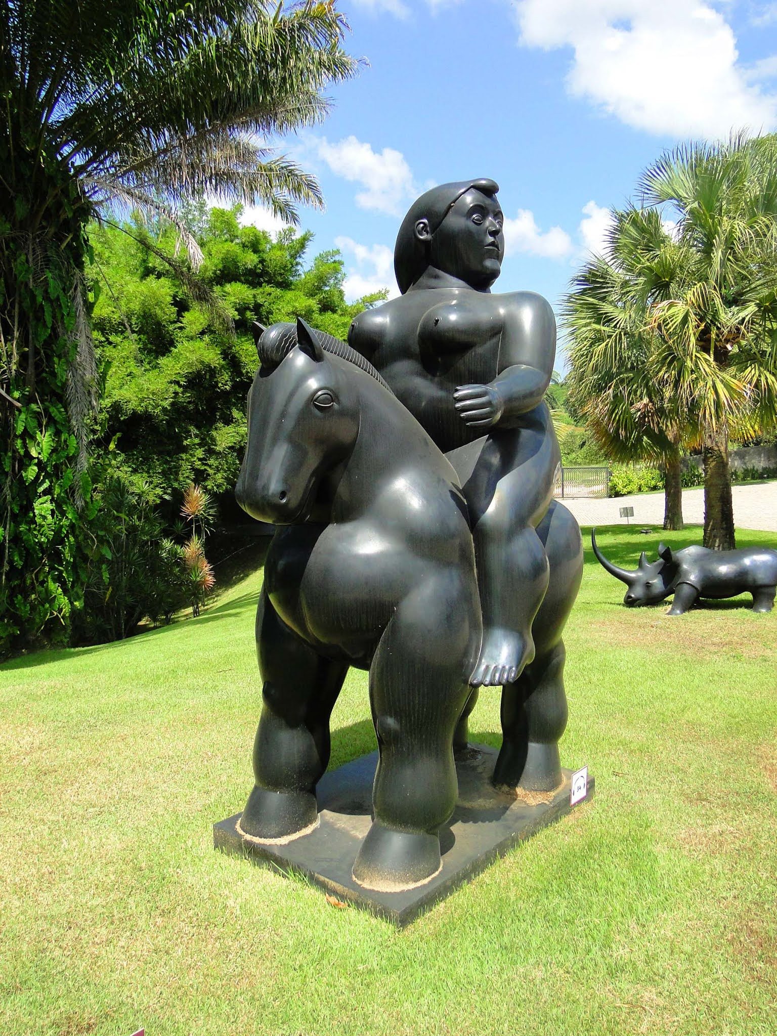 Instituto Ricardo Brennand, museu em um castelo no Recife. Instituto Ricardo Brennand, museu em um castelo no Recife.