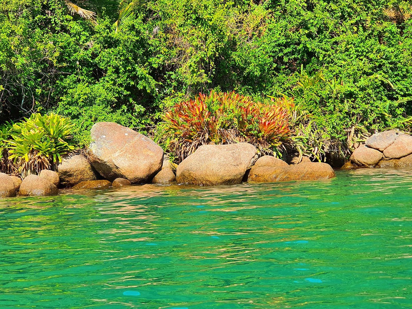 Saco do Mamanguá, Paraty: dicas de passeio de barco.