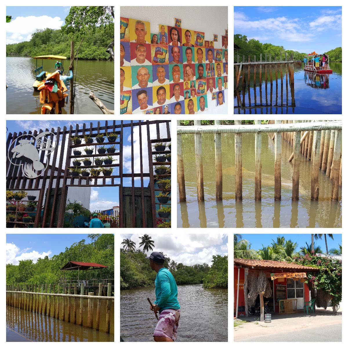 Associação Peixe-Boi em Porto das Pedras, Alagoas Associação Peixe-Boi em Porto das Pedras, Alagoas