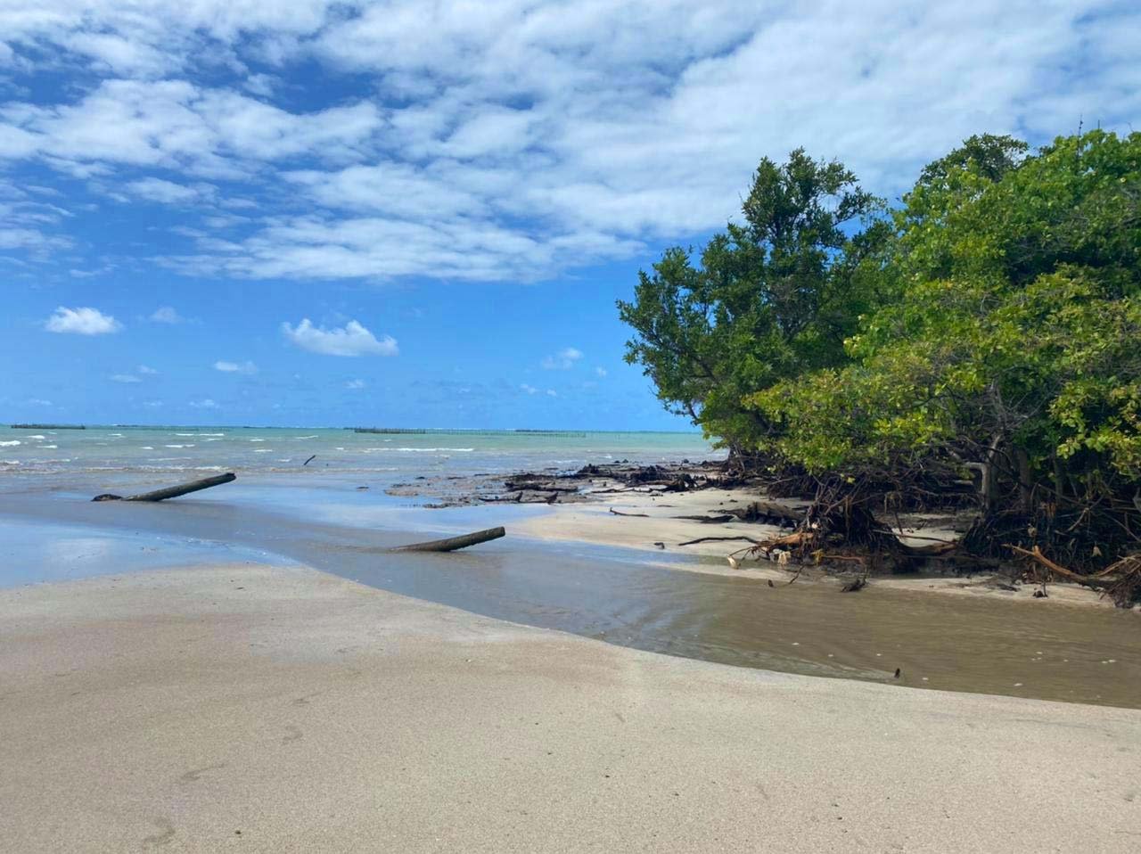 Praia do Marceneiro na Rota Ecológica dos Milagres, Alagoas. Praia do Marceneiro na Rota Ecológica dos Milagres, Alagoas.