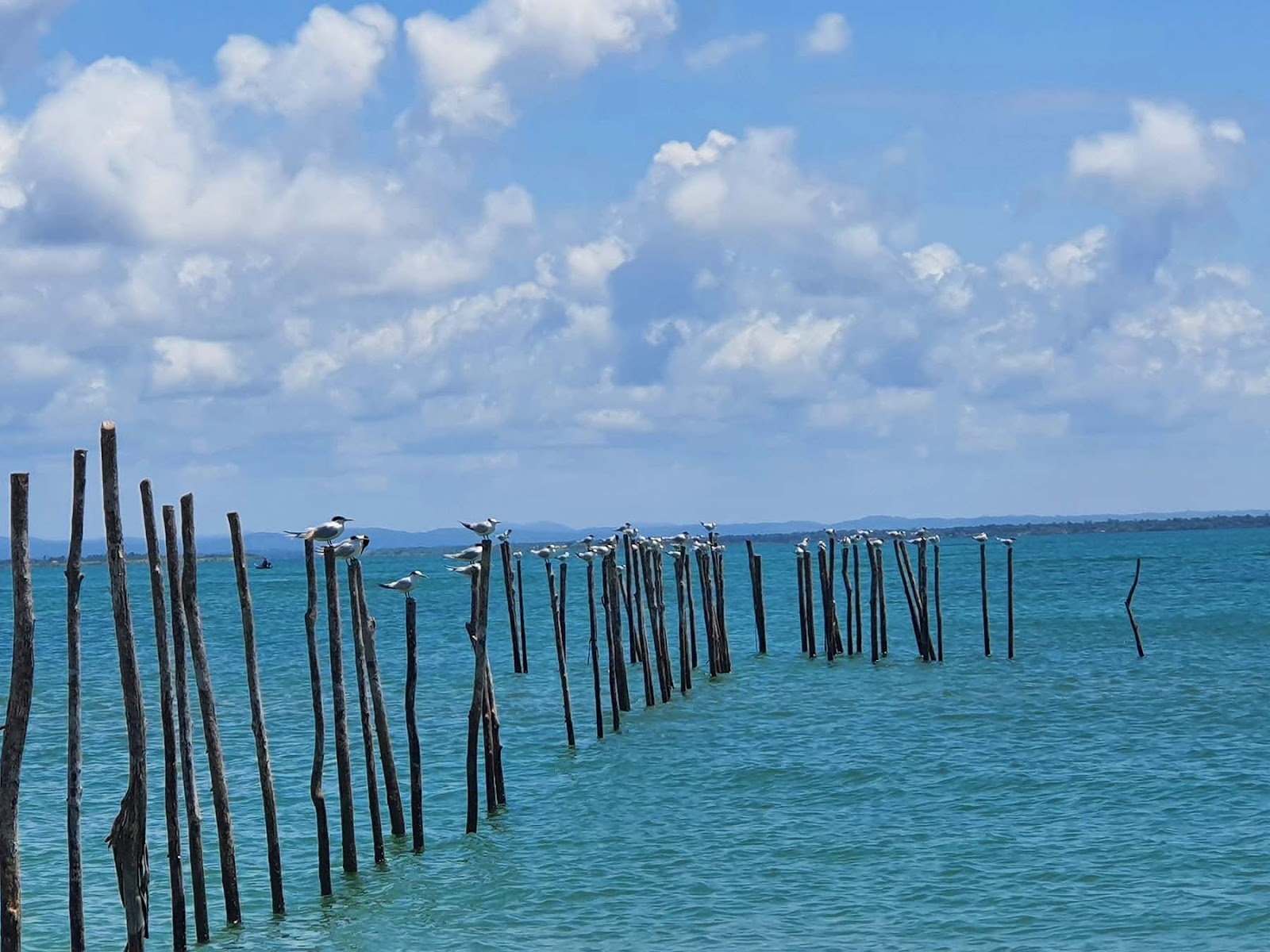 Dicas gastronômicas de Barra Grande na Bahia Dicas gastronômicas de Barra Grande na Bahia