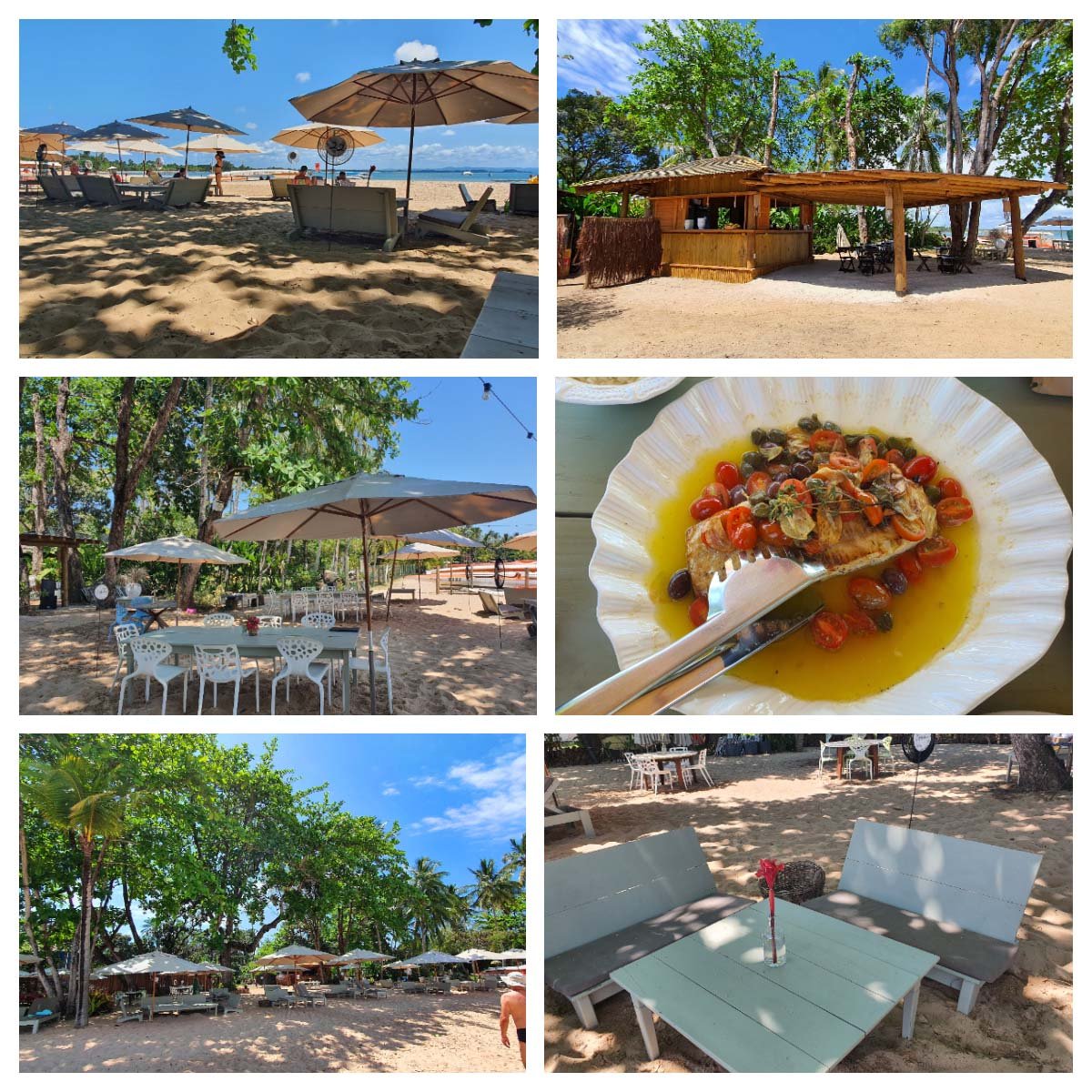 Dicas Gastronômicas de Barra Grande, Bahia Dicas Gastronômicas de Barra Grande, Bahia