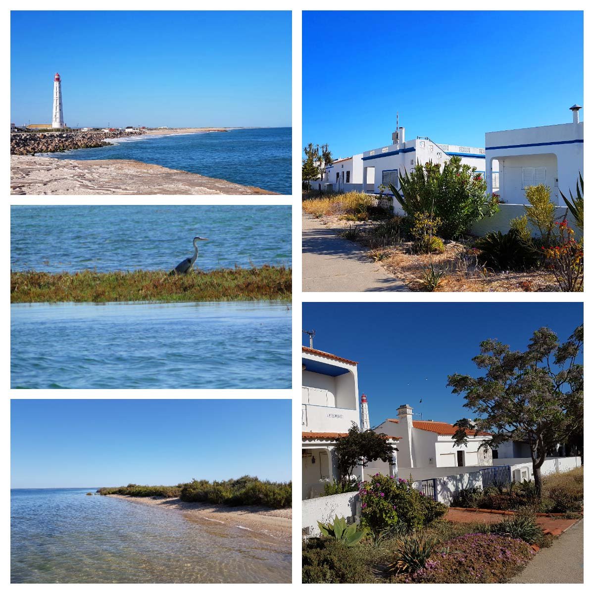 Passeio Ria Formosa, Ilha do Farol, Faro Passeio Ria Formosa, Ilha do Farol, Faro