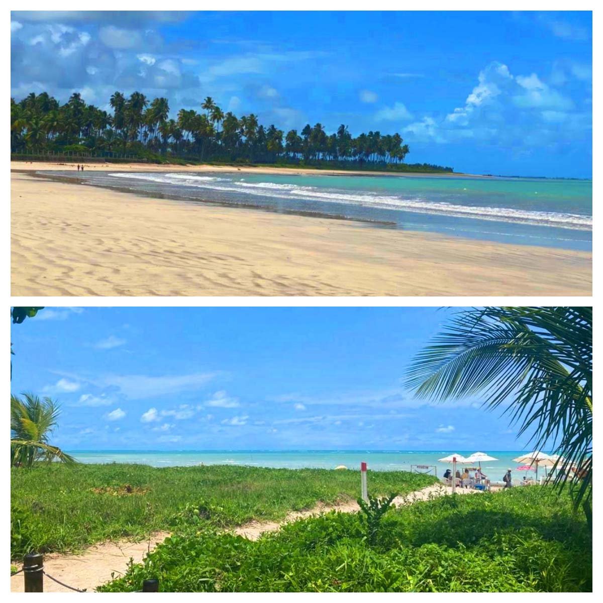 Marechal Deodoro e São Miguel dos Milagres: 2 cidades turísticas de Alagoas