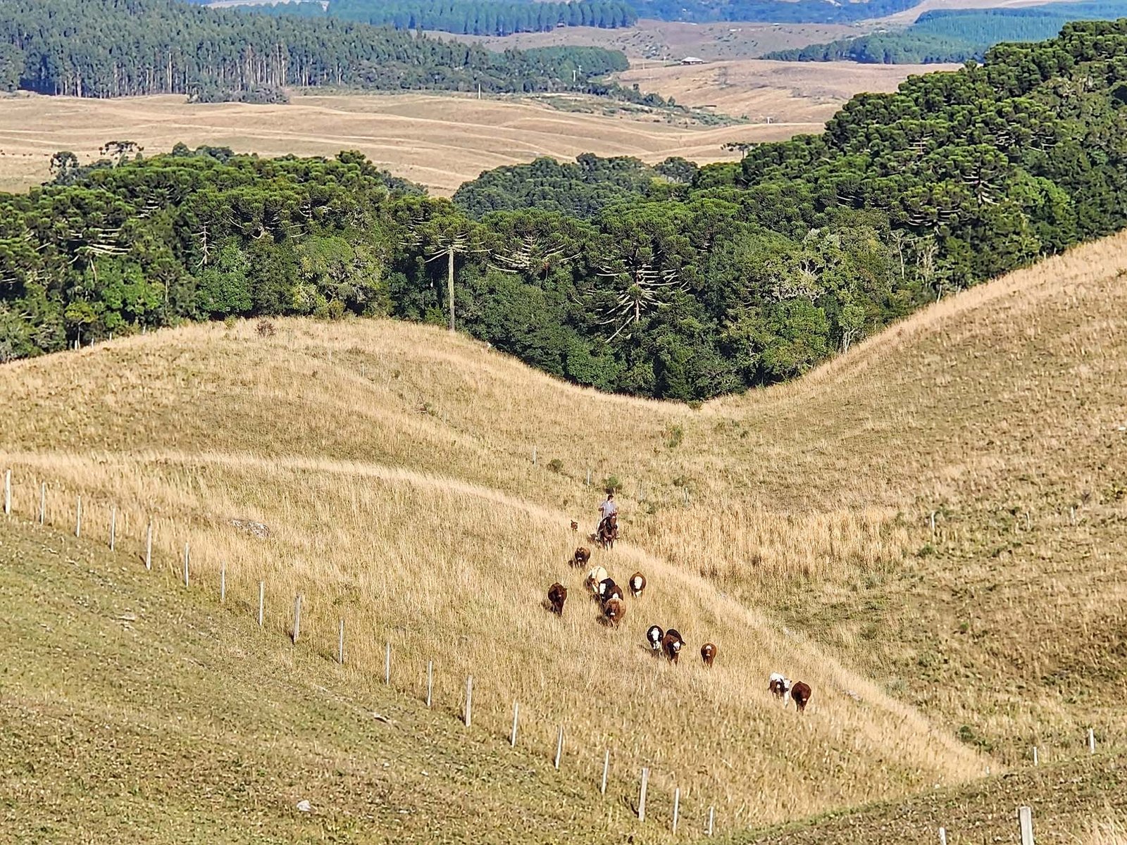 Onde se hospedar em Cambará do Sul Onde se hospedar em Cambará do Sul
